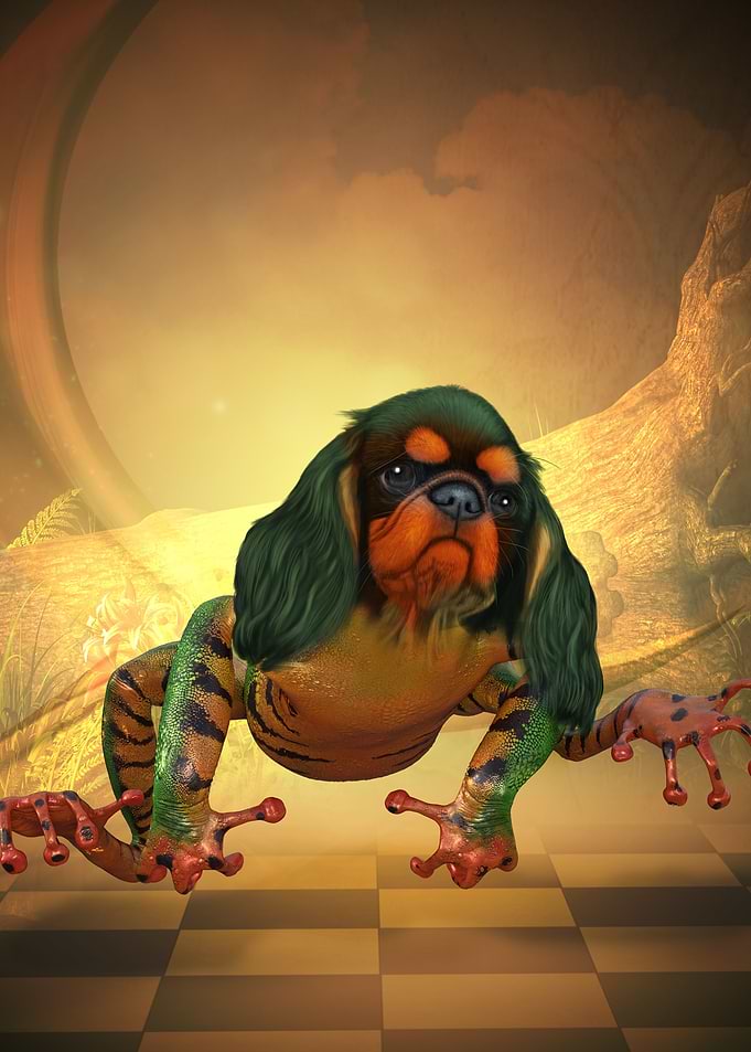 Funny dogfrog