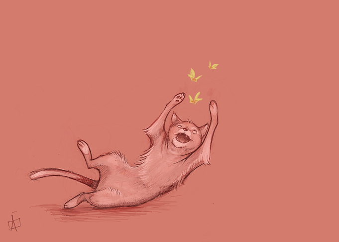 Cat chasing butterflies