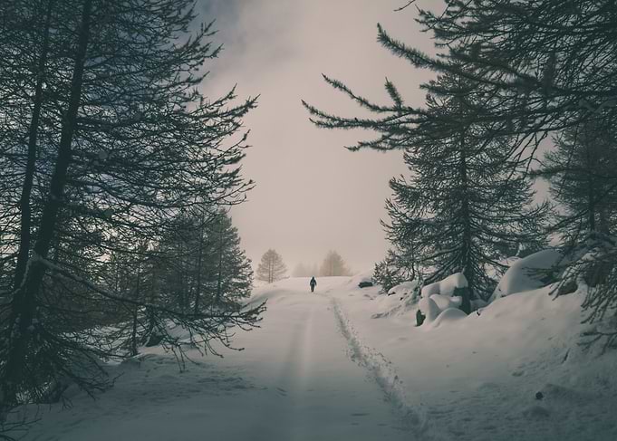 Into the White