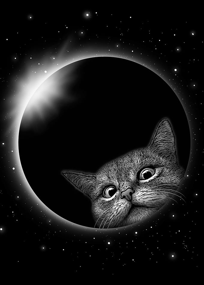 ECLIPSE CAT