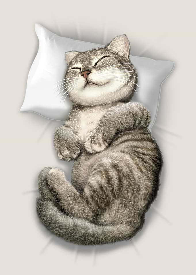 CAT SLEEPING