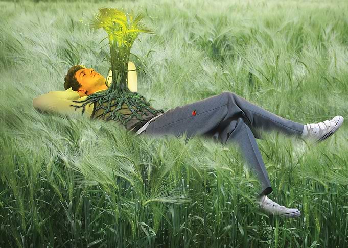 homme qui dort sur lherbe