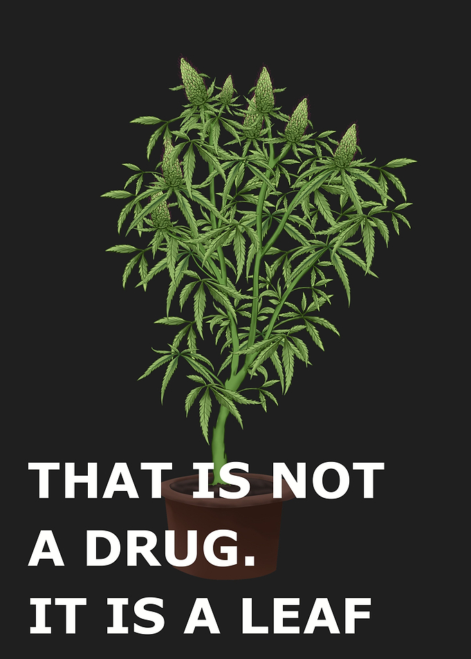 Cannabis quote