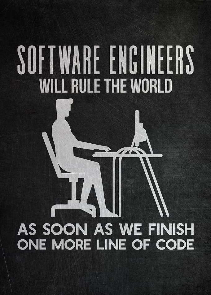 Software Engineer Gift