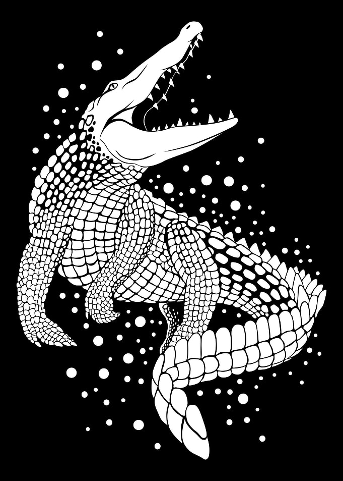 White Crocodile
