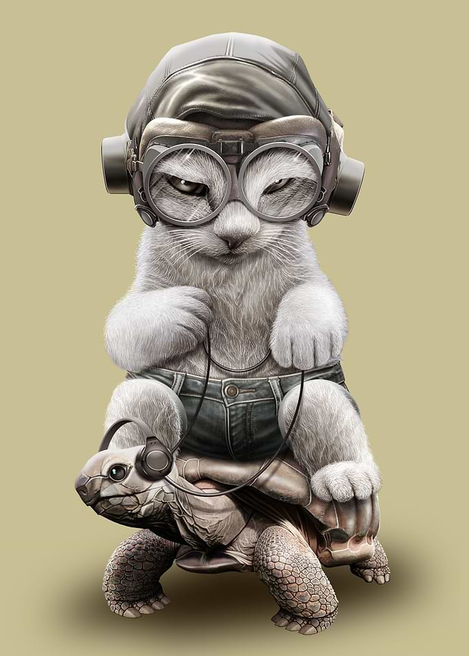 CAT RIDING TORTOISE
