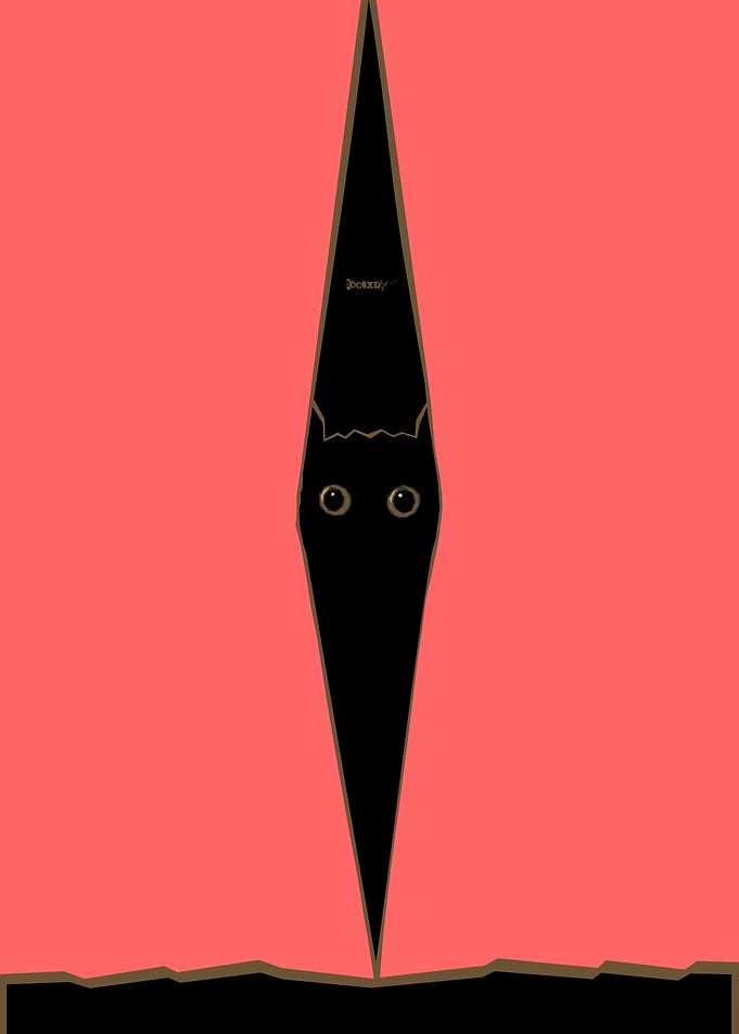 Cat Behind the Curtain