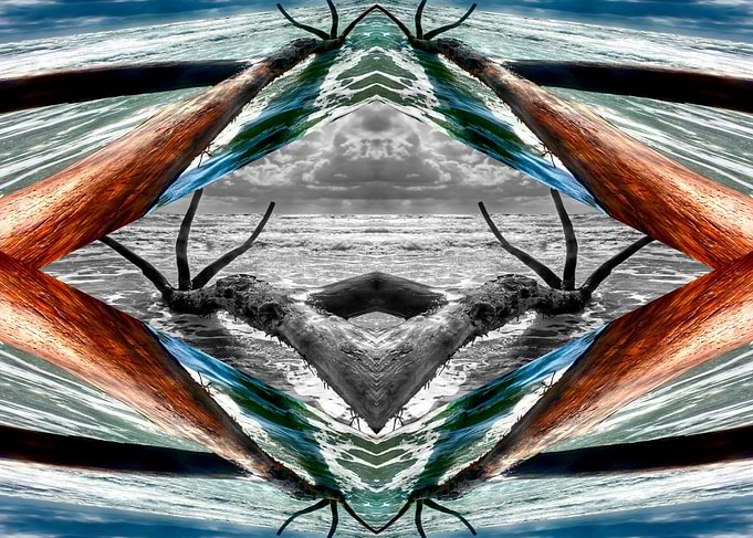 tree trunk in the waves