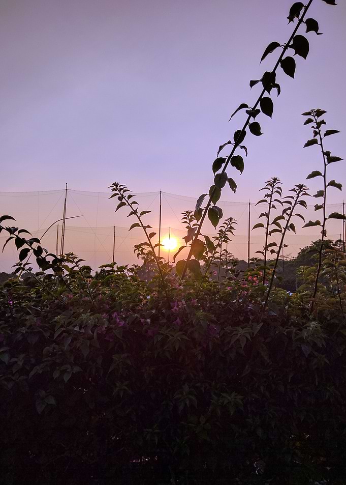Sunrise