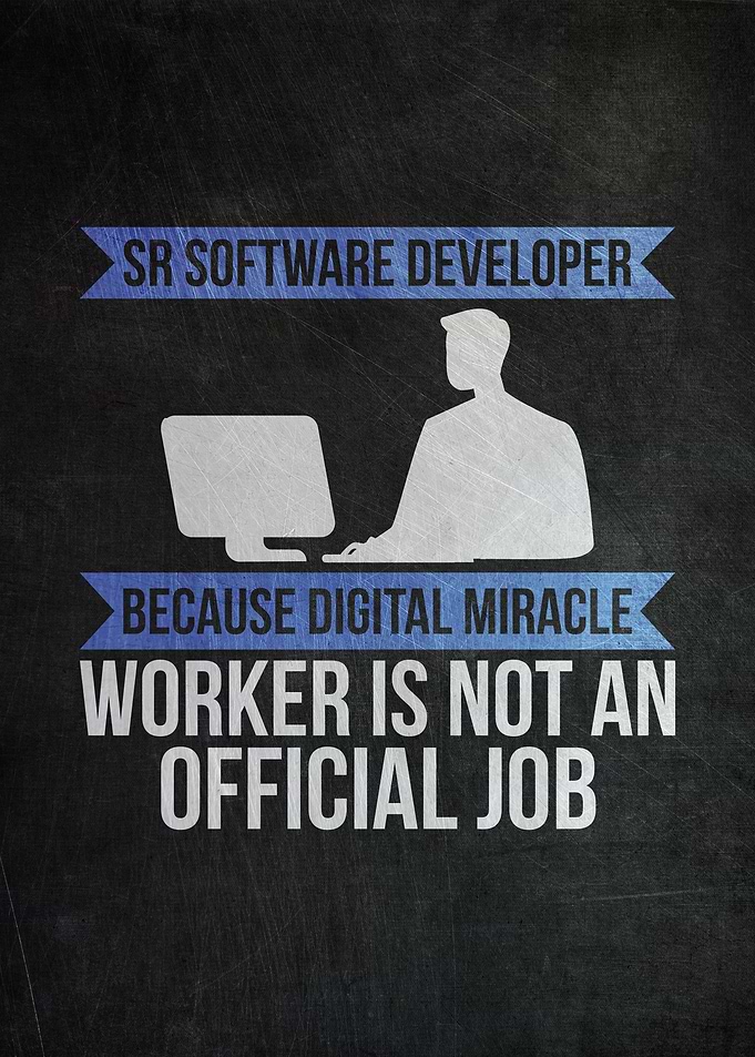 SR Software Developer