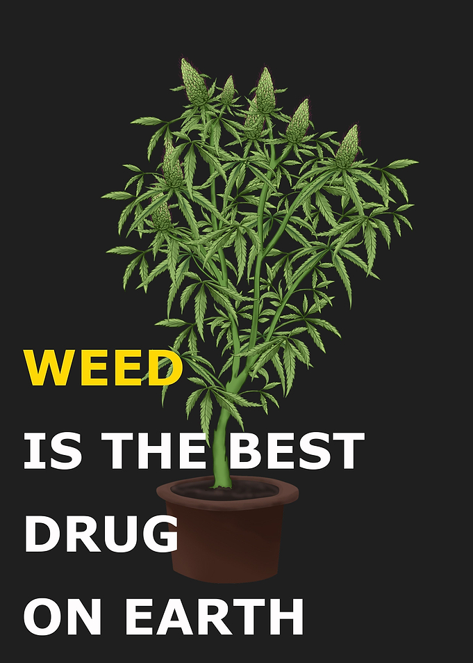Cannabis quote