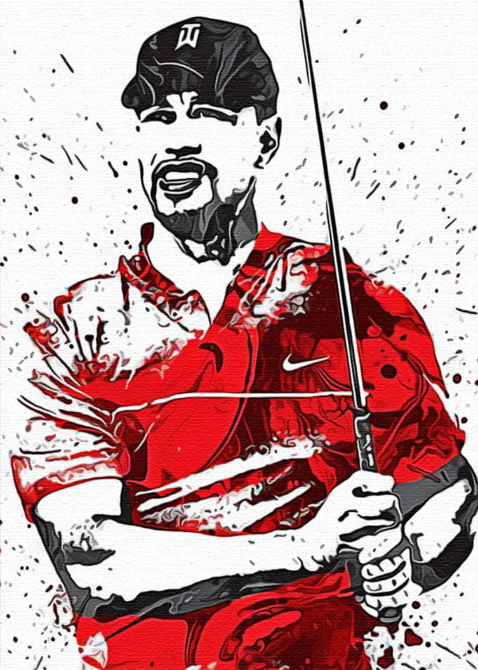 Tiger Woods Golf