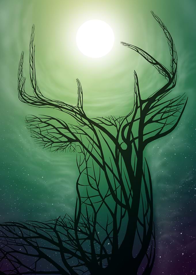 the deer