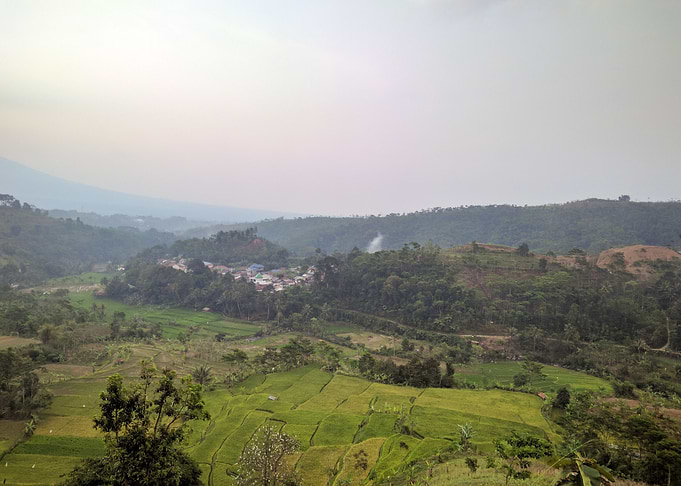 The hills