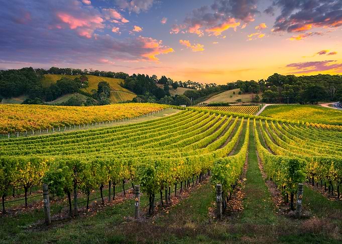 Adelaide Hills Agriculture