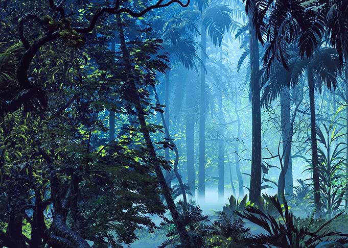 Peeping The Woods