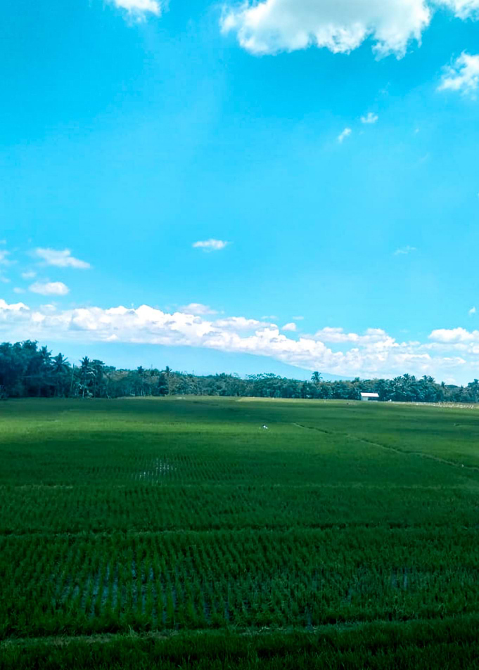agriculture
