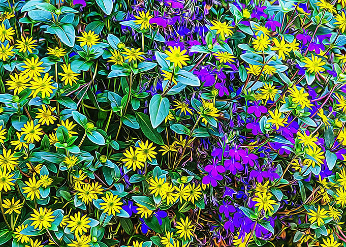 Coloured flowers in Alps
