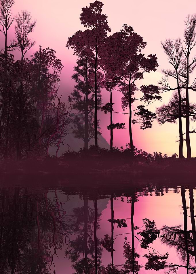 Woods and Lake