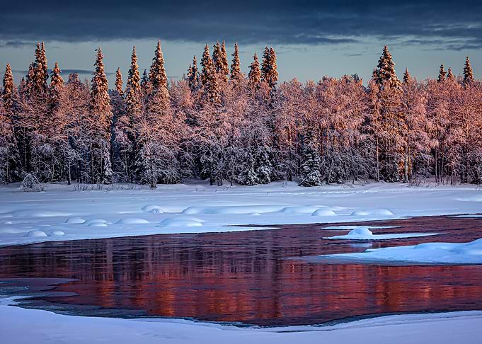 Sunset forest