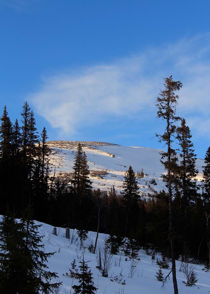 Mountain