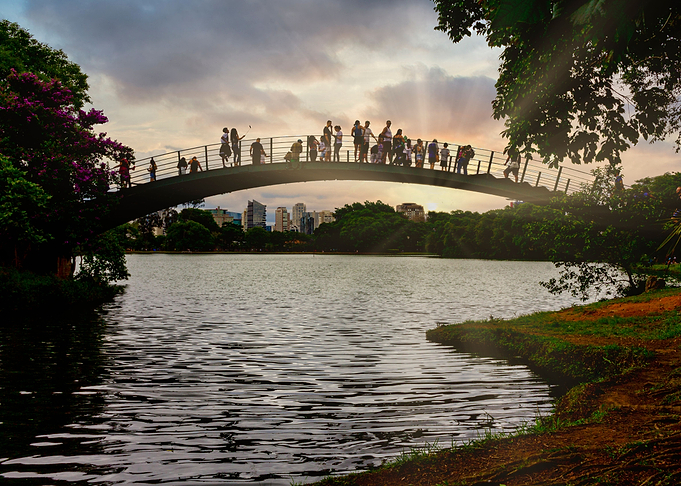 Bridge over lake