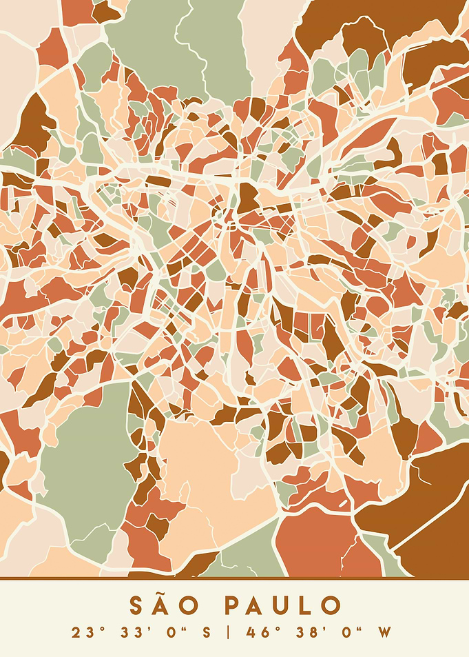 SAO PAULO BRAZIL CITY MAP