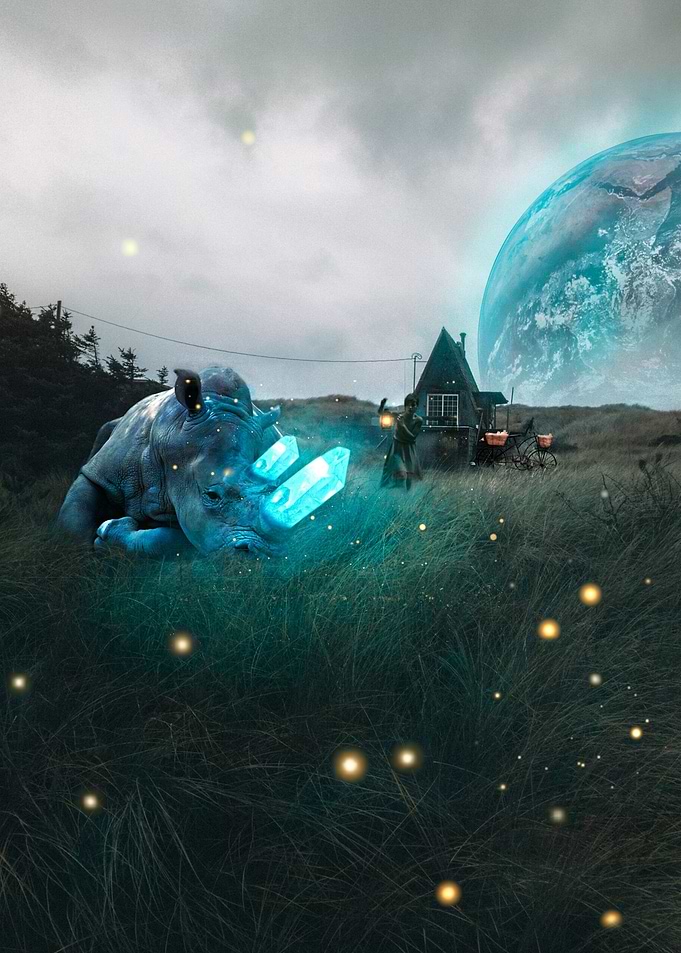 Fantasy Rhino Art