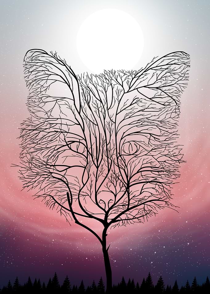 the fox