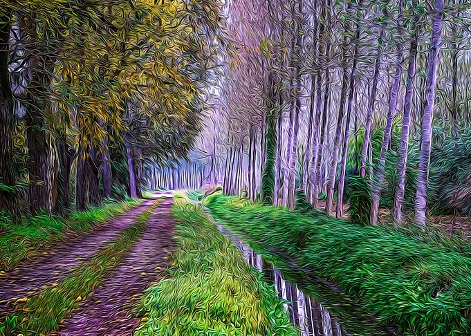 Country road and ditch