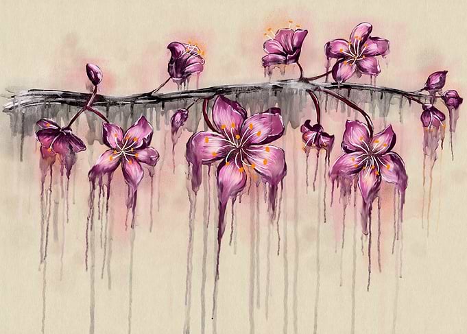 Cherry Blossom Flowers