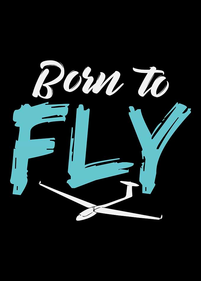 Born To Fly Pilot Gliding