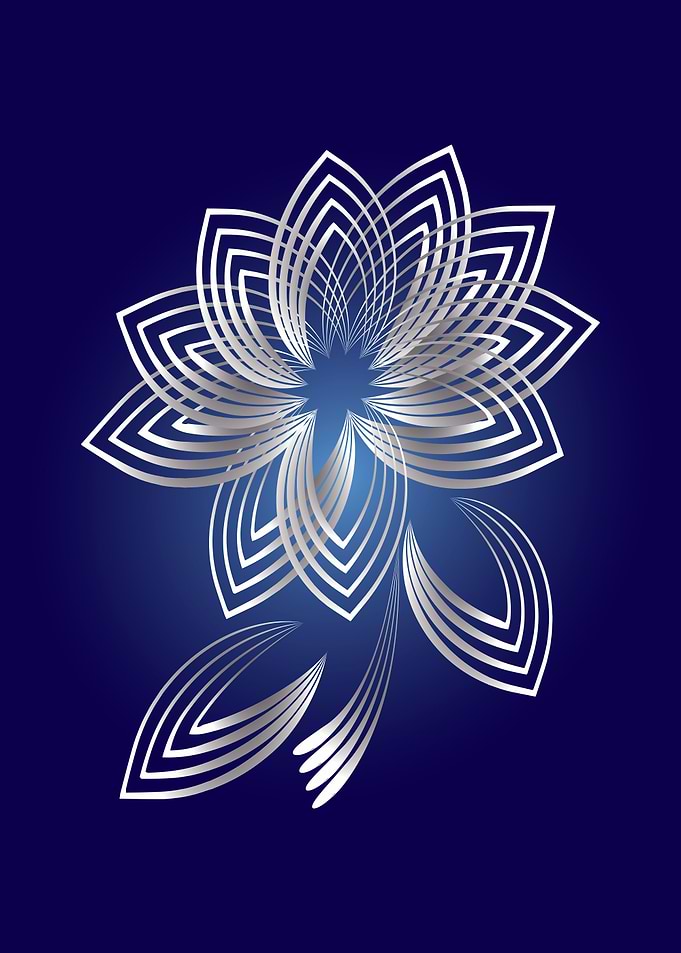 Two fallen petals
