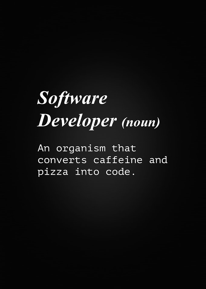 Programmer Definition