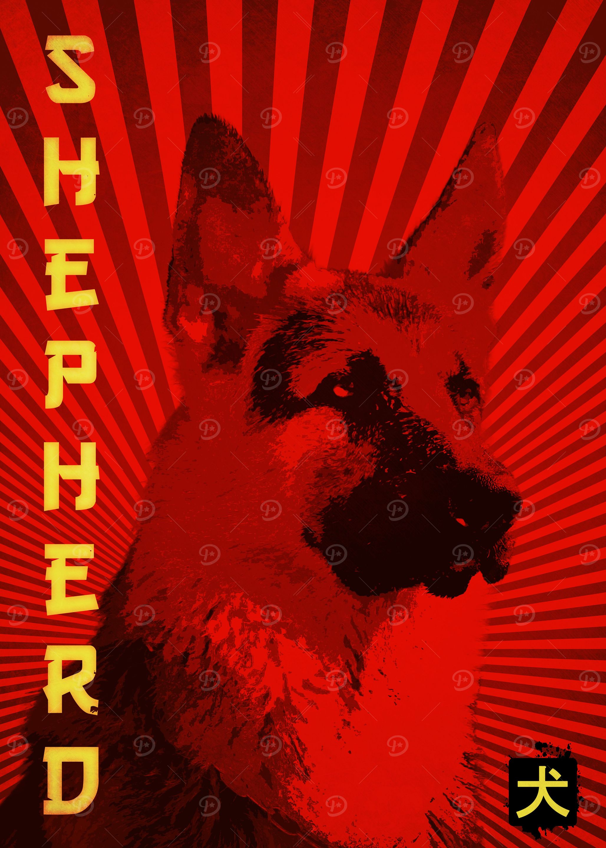 german shepherd