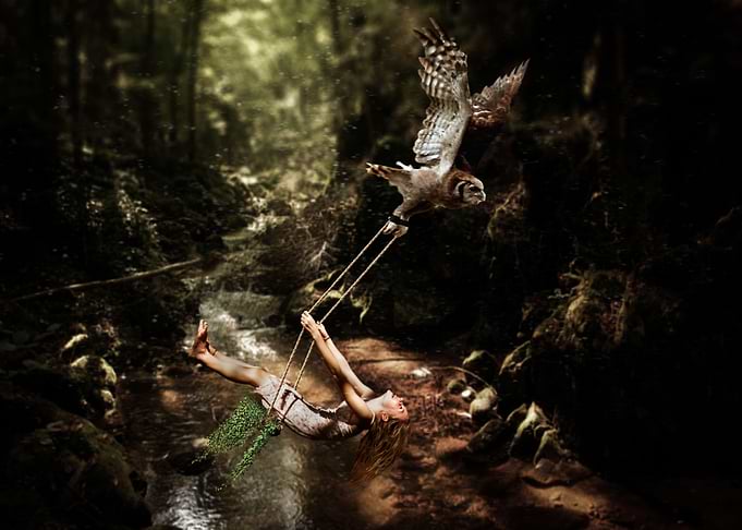 Magic Forest