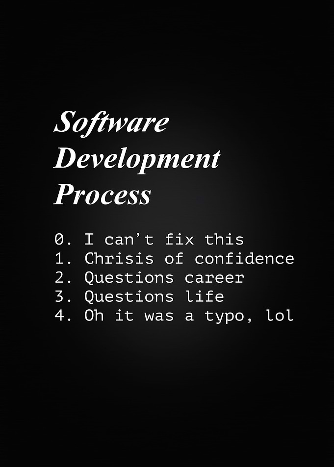 Funny Software Developer