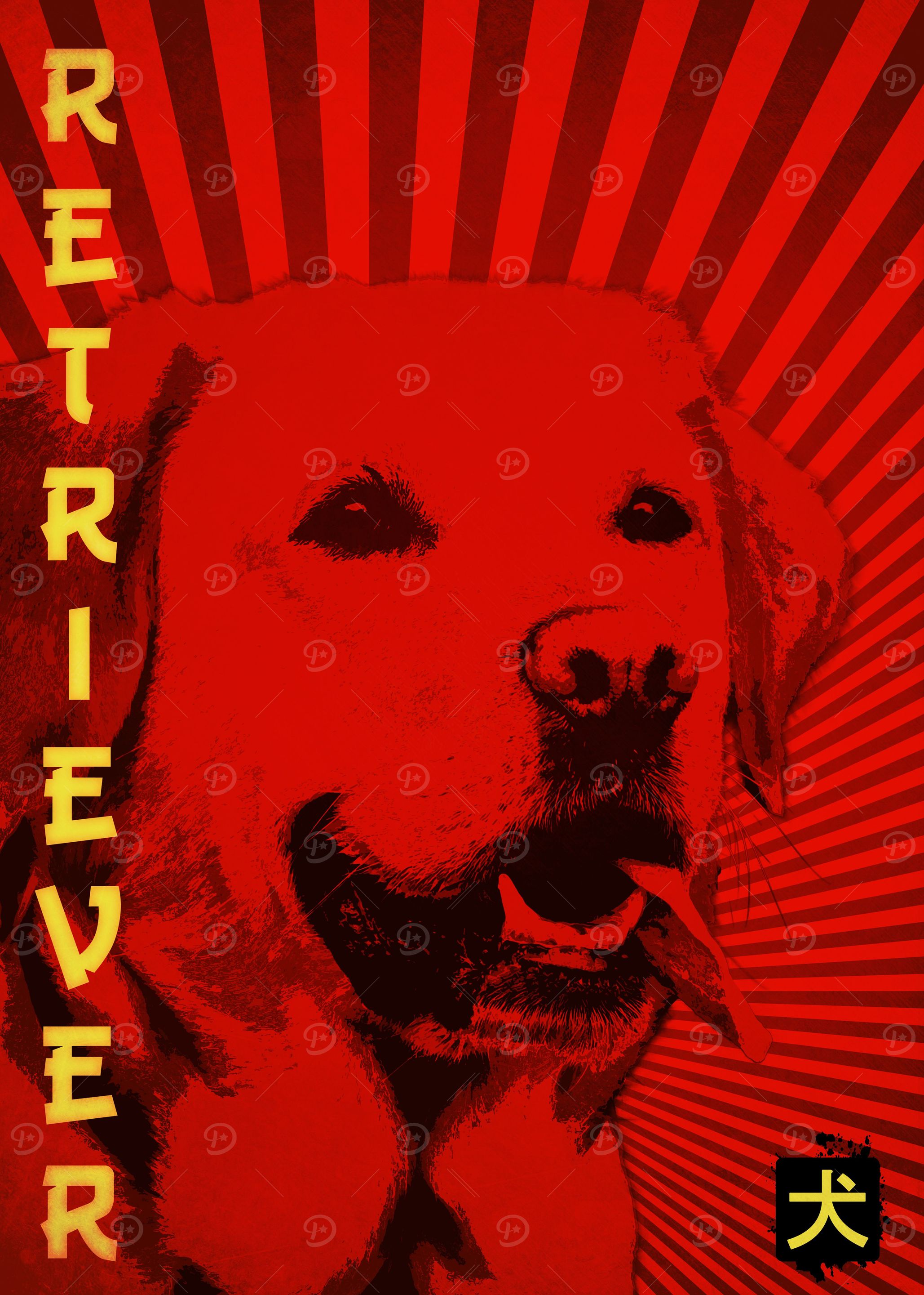 dog retriever