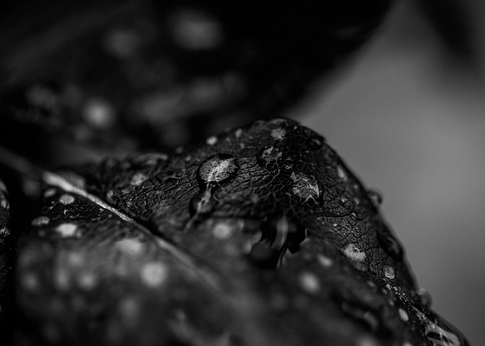Rain 1