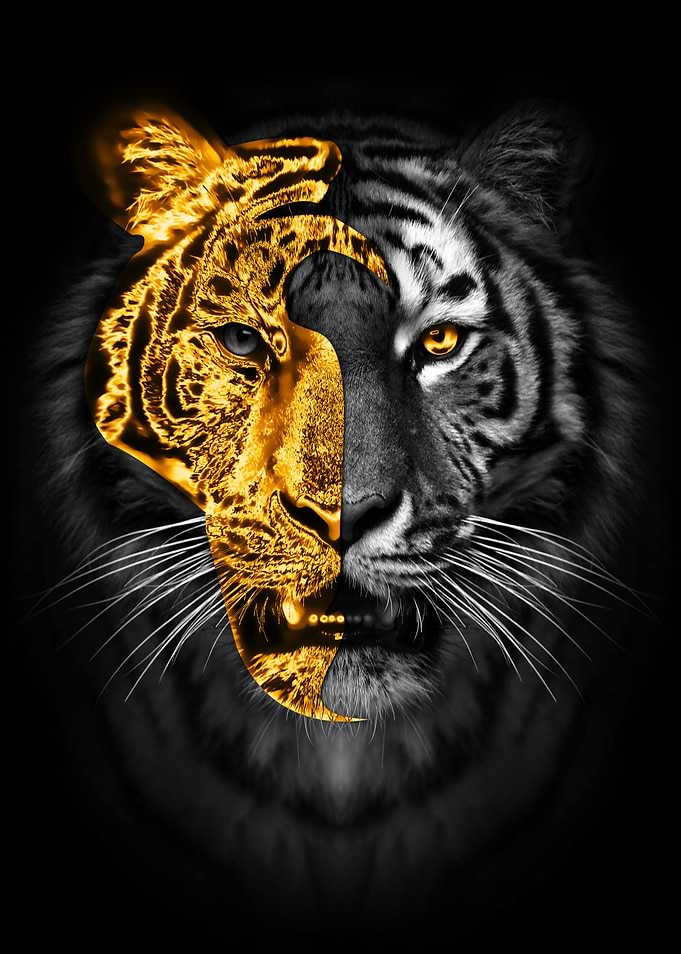 tiger with golden mask