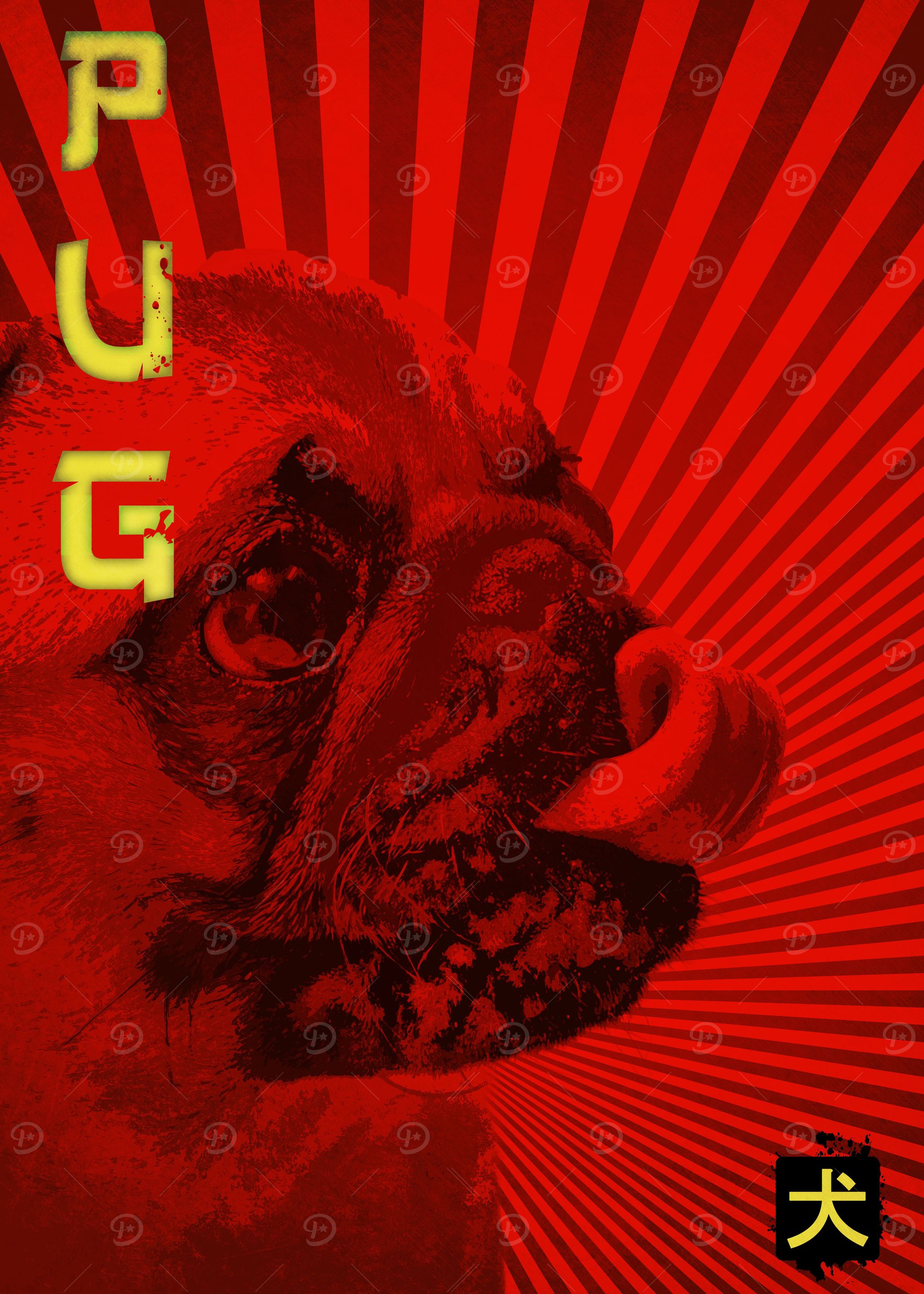 pug dog