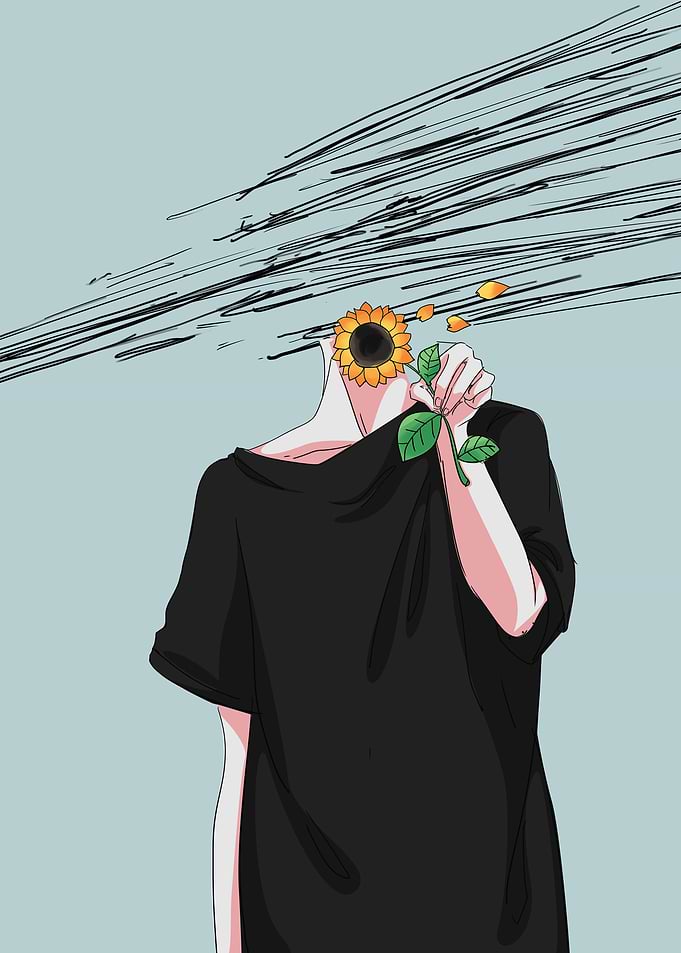 shy sunflower