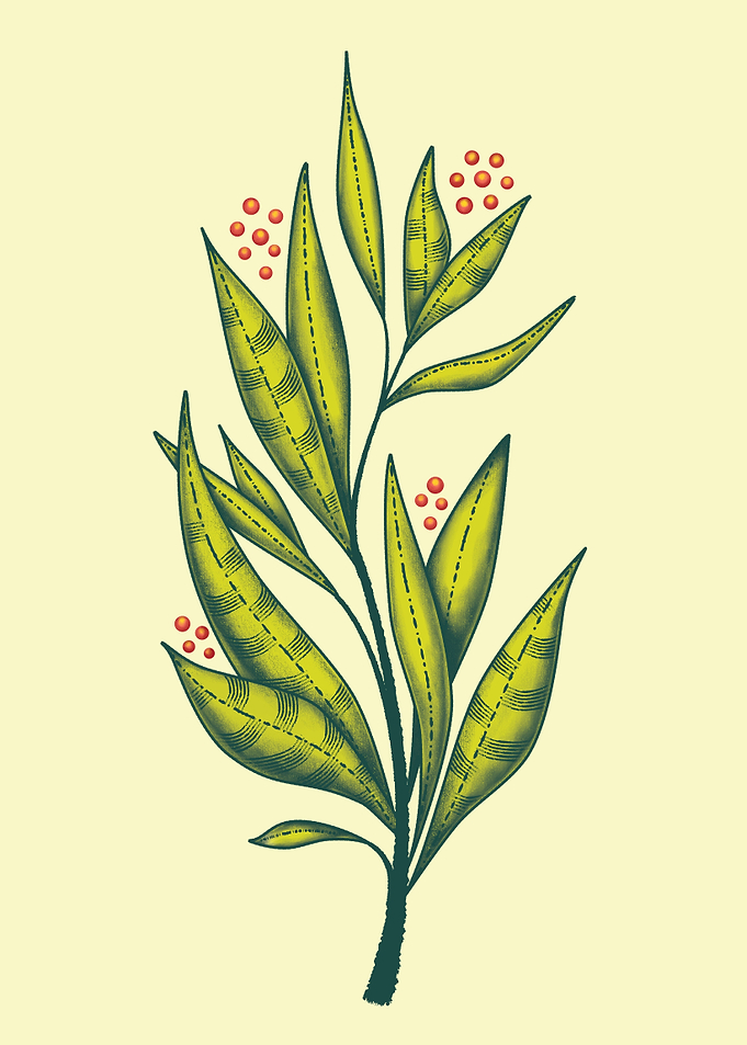 Abstract Leafy Green Plant