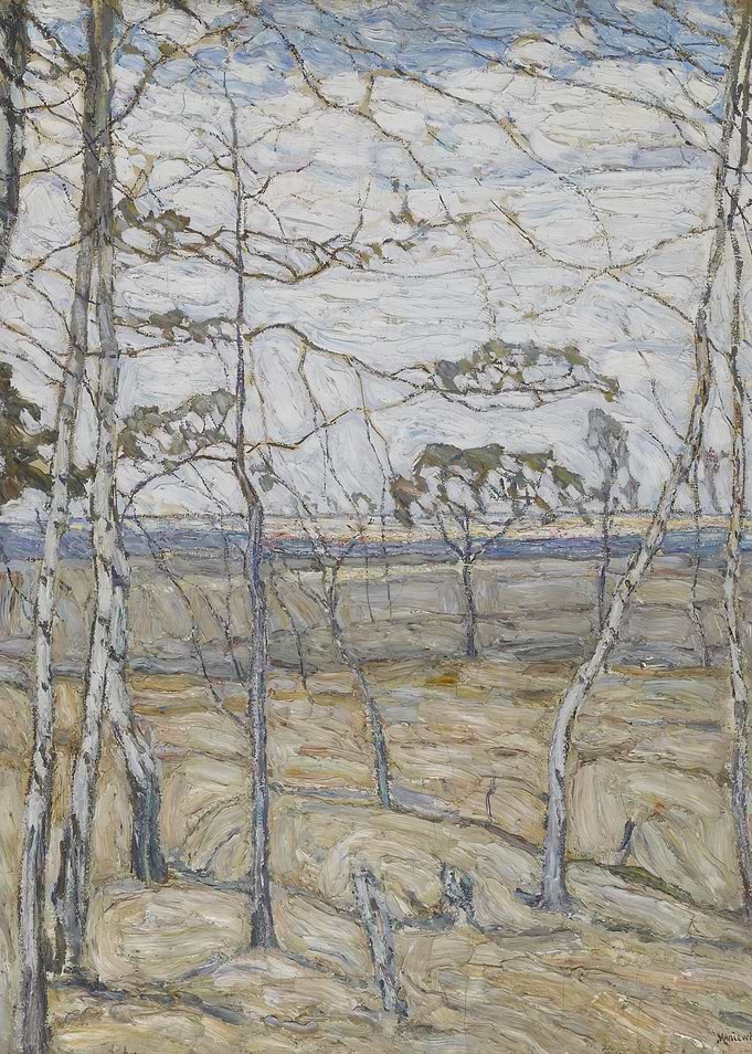 Birch Trees.jpg