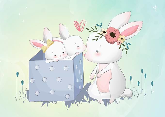 Bunny