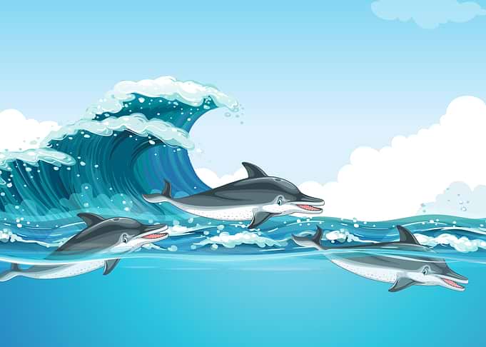Dolphins