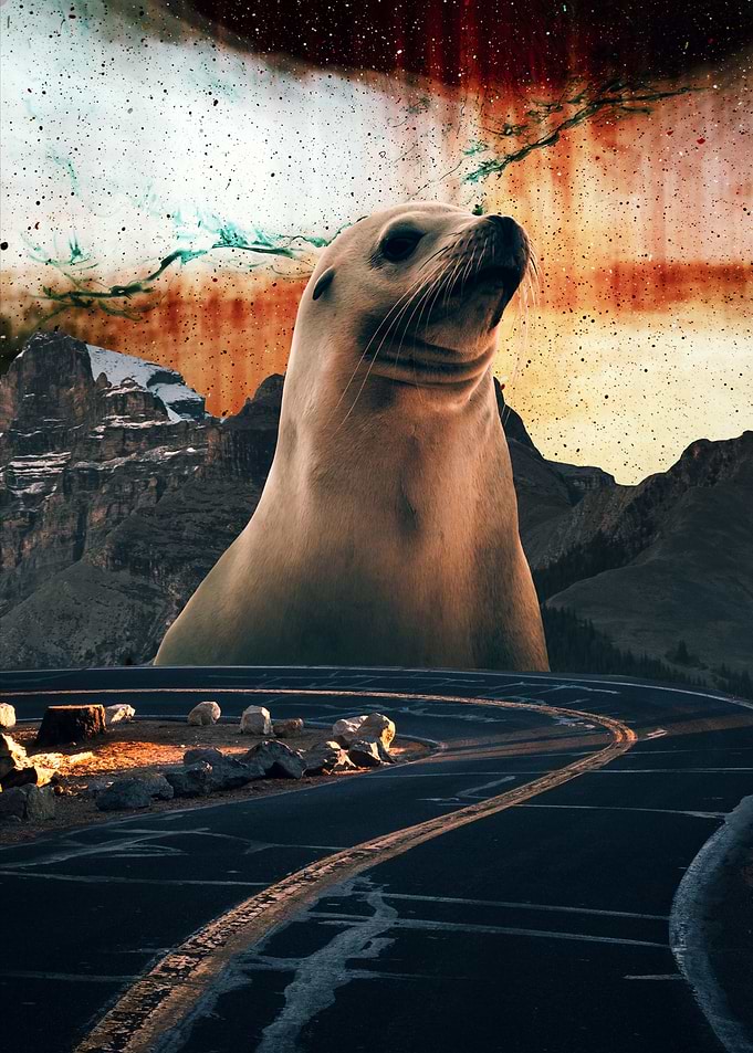 Road trip