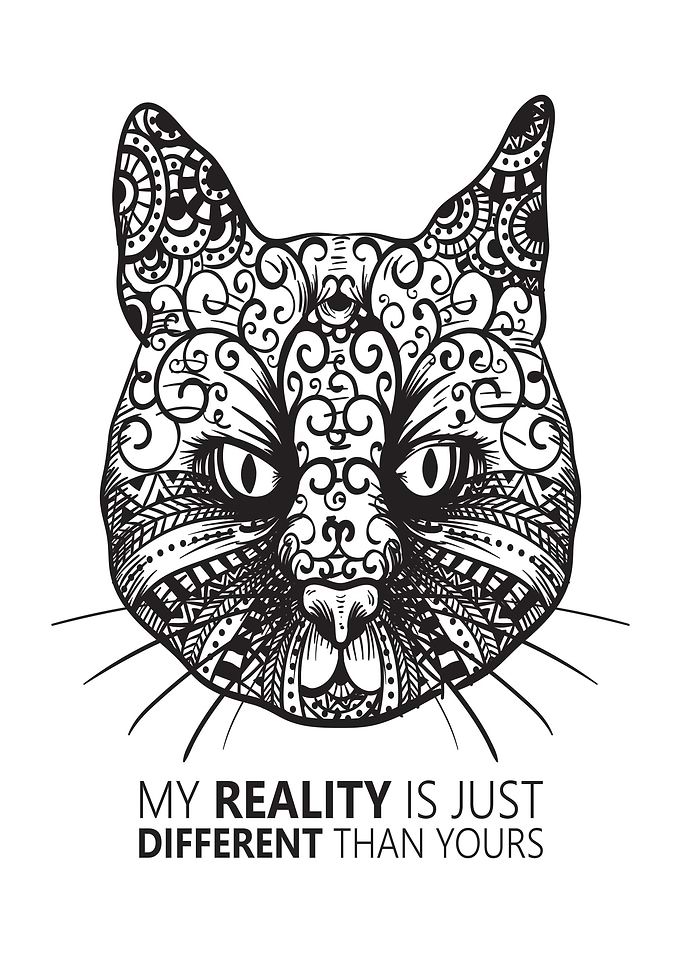 Cat Reality