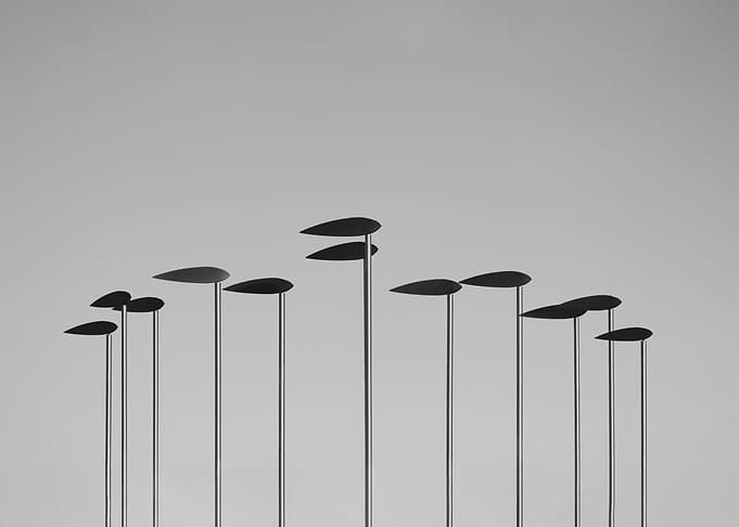 Flags