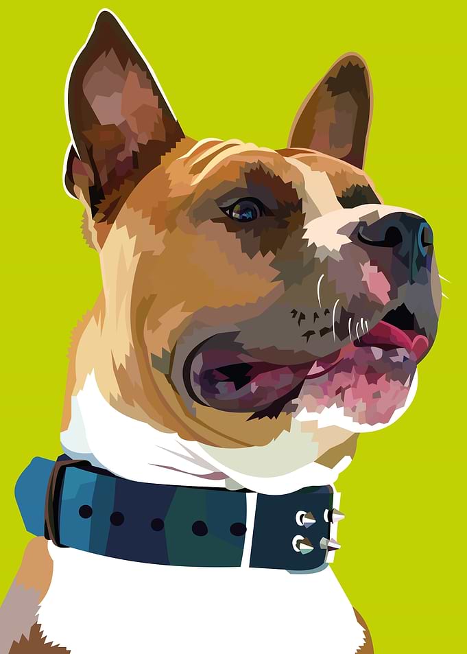 Terrier dog portrait